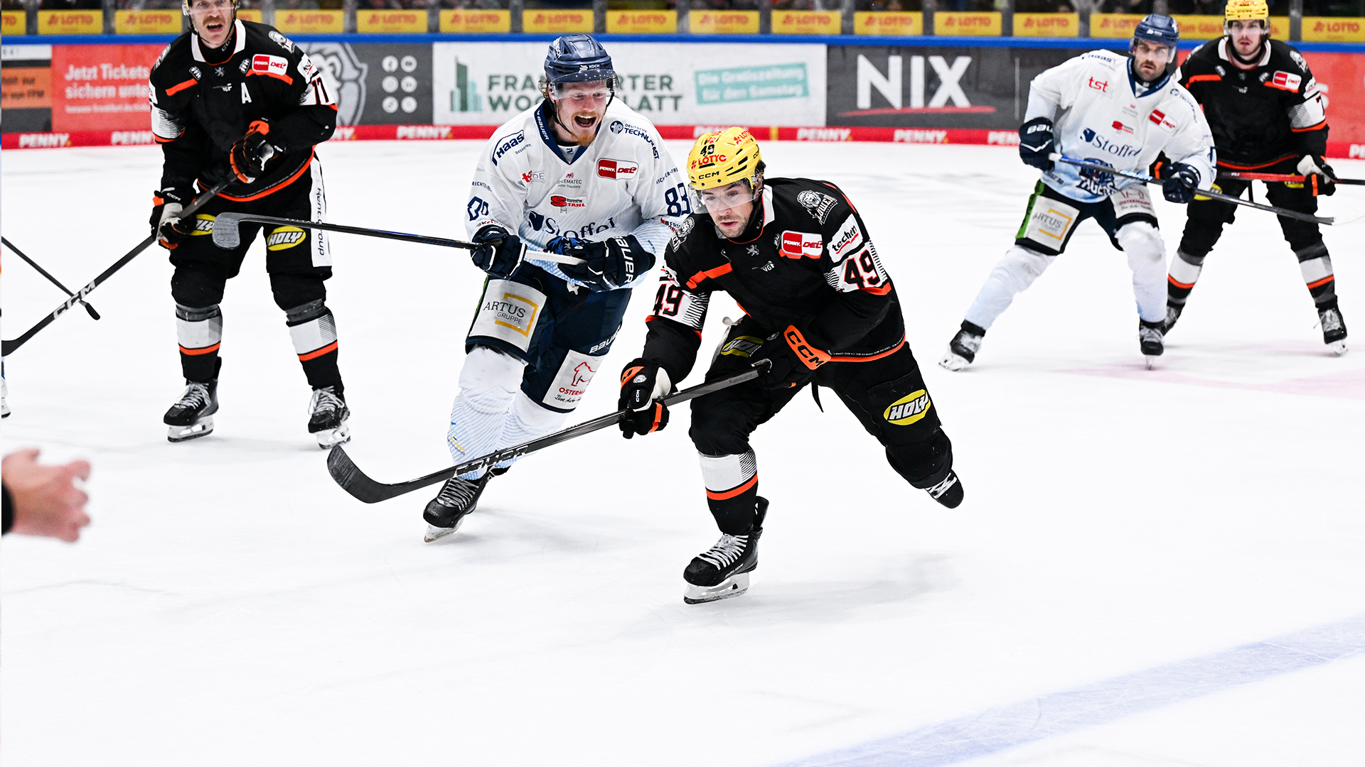 Löwen Frankfurt gg. Straubing Tigers
